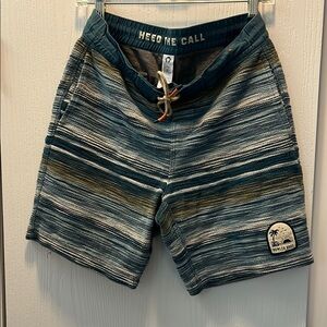Howler Brothers Artistic Blue and Green Board Shorts